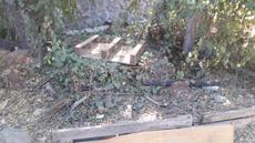 Picture of aulet