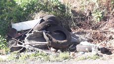 Picture of aulet