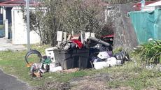 Picture of aulet