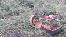 Picture of aulet