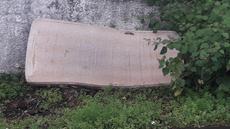 Picture of aulet