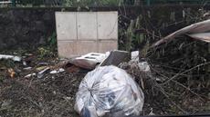 Picture of aulet