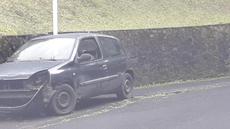 Picture of aulet