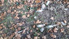 Picture of aulet