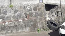 Picture of aulet