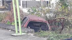 Picture of aulet