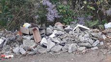 Picture of aulet