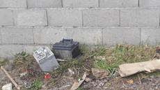 Picture of aulet
