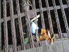 Picture of Ti Tang'