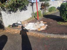 Picture of lareunion974
