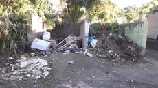 Picture of aulet