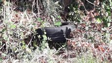 Picture of aulet