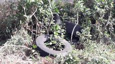 Picture of aulet