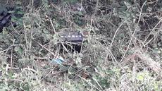 Picture of aulet