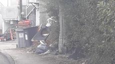 Picture of aulet