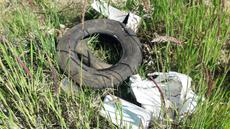 Picture of aulet