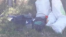 Picture of aulet