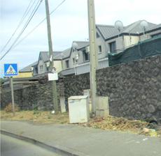 Picture of Ti Tang'