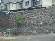 Picture of Ti Tang'