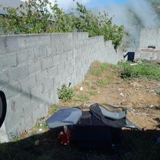 Picture of aulet