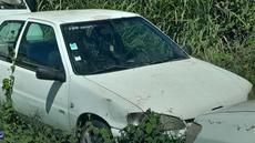 Picture of aulet