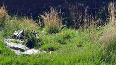 Picture of aulet