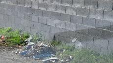 Picture of aulet