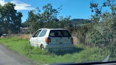 Picture of aulet