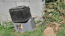 Picture of aulet