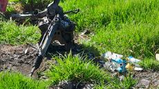 Picture of aulet