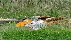 Picture of aulet