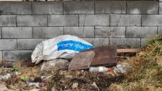 Picture of aulet