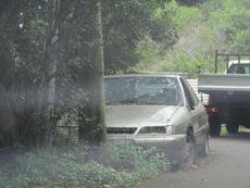 Picture of Ti Tang'