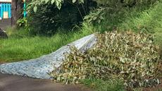 Picture of aulet