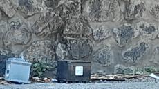 Picture of aulet