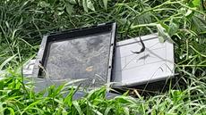 Picture of aulet