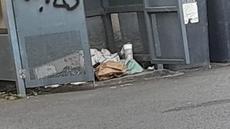 Picture of aulet