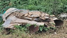 Picture of aulet
