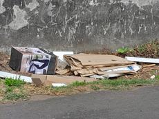 Picture of aulet