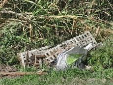 Picture of aulet
