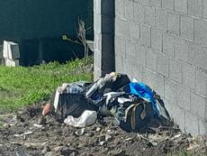 Picture of aulet