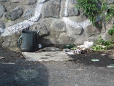 Picture of Ti Tang'