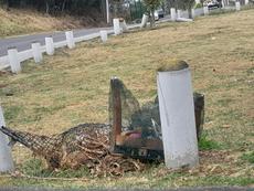 Picture of aulet