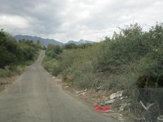 Picture of Ti Tang'