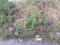 Picture of aulet