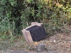 Picture of aulet