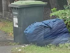 Picture of aulet