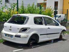Picture of aulet