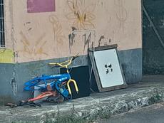 Picture of aulet