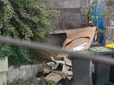 Picture of aulet